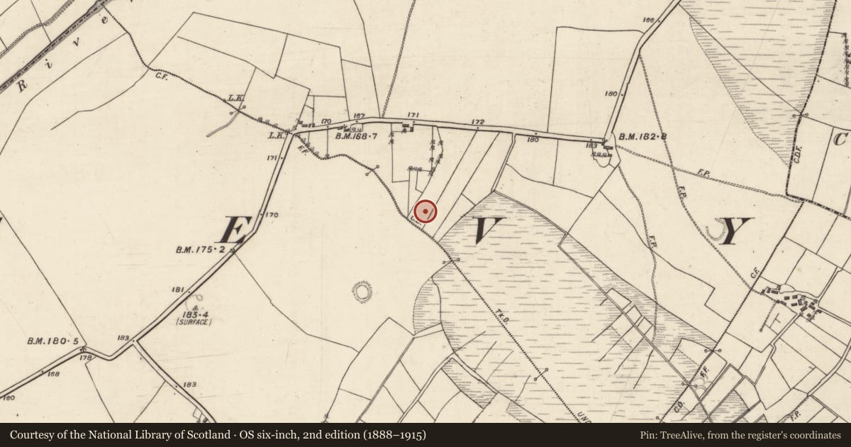 Ordnance Survey six-inch map, 2nd edition (1888–1915) covering the location of Ringfort - rath, Banagher, County Galway, with a pin at the register's coordinates
