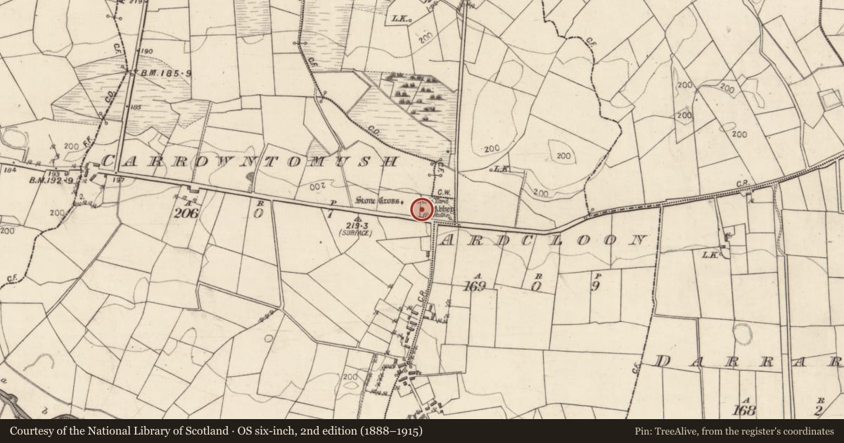 Ordnance Survey six-inch map, 2nd edition (1888–1915) covering the location of Bullaun stone, Carrowntomush, County Galway, with a pin at the register's coordinates