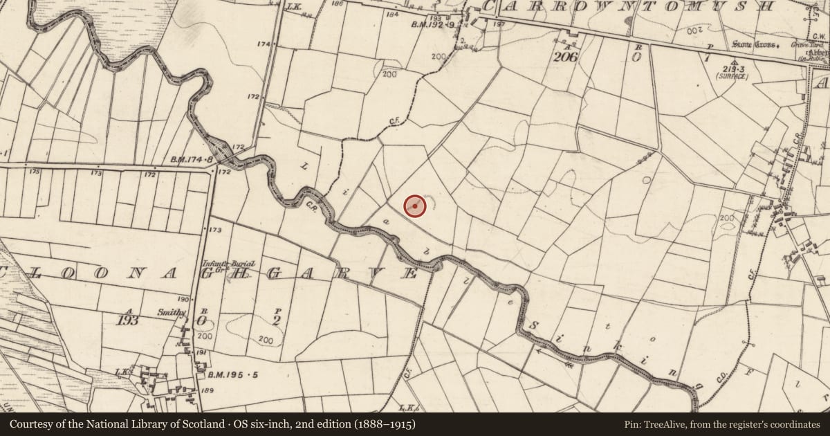 Ordnance Survey six-inch map, 2nd edition (1888–1915) covering the location of Earthwork, Carrowntomush, County Galway, with a pin at the register's coordinates