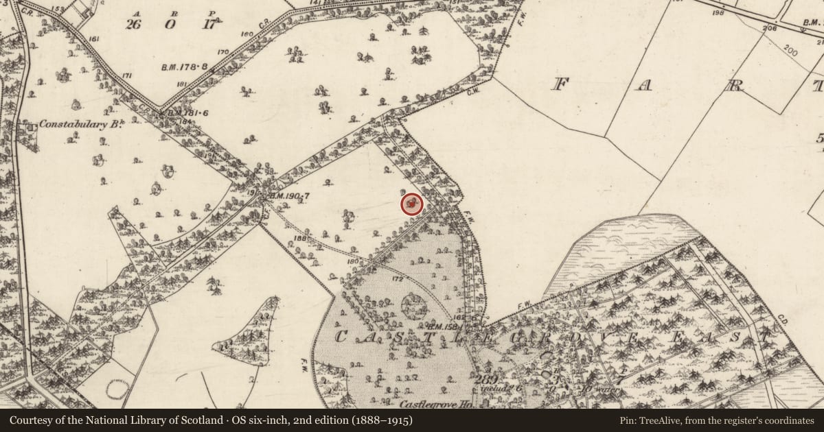 Ordnance Survey six-inch map, 2nd edition (1888–1915) covering the location of Designed landscape - tree-ring, Castlegrove East, County Galway, with a pin at the register's coordinates