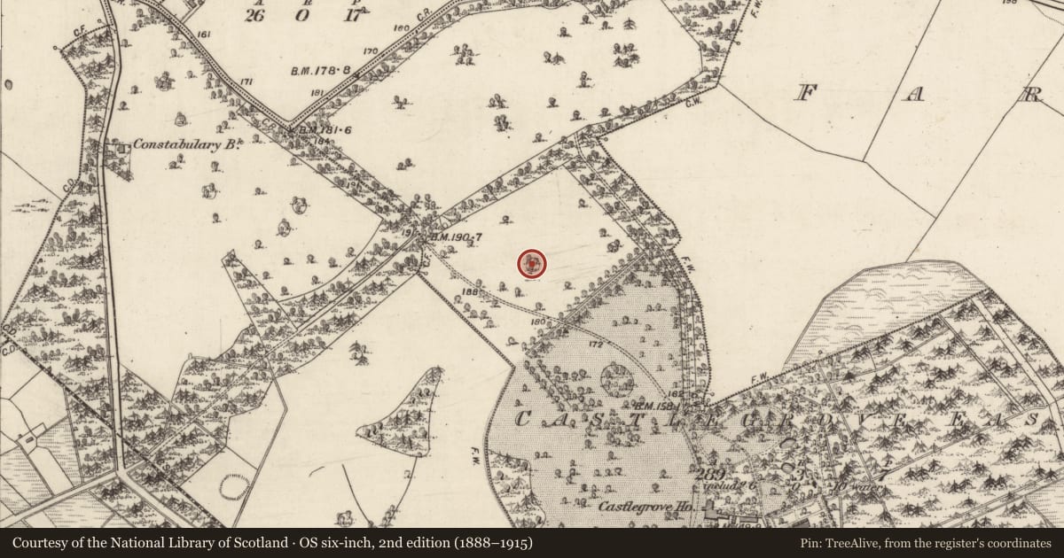 Ordnance Survey six-inch map, 2nd edition (1888–1915) covering the location of Designed landscape - tree-ring, Castlegrove East, County Galway, with a pin at the register's coordinates