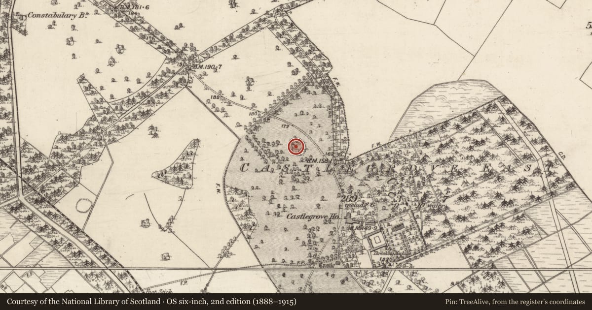 Ordnance Survey six-inch map, 2nd edition (1888–1915) covering the location of Designed landscape - tree-ring, Castlegrove East, County Galway, with a pin at the register's coordinates