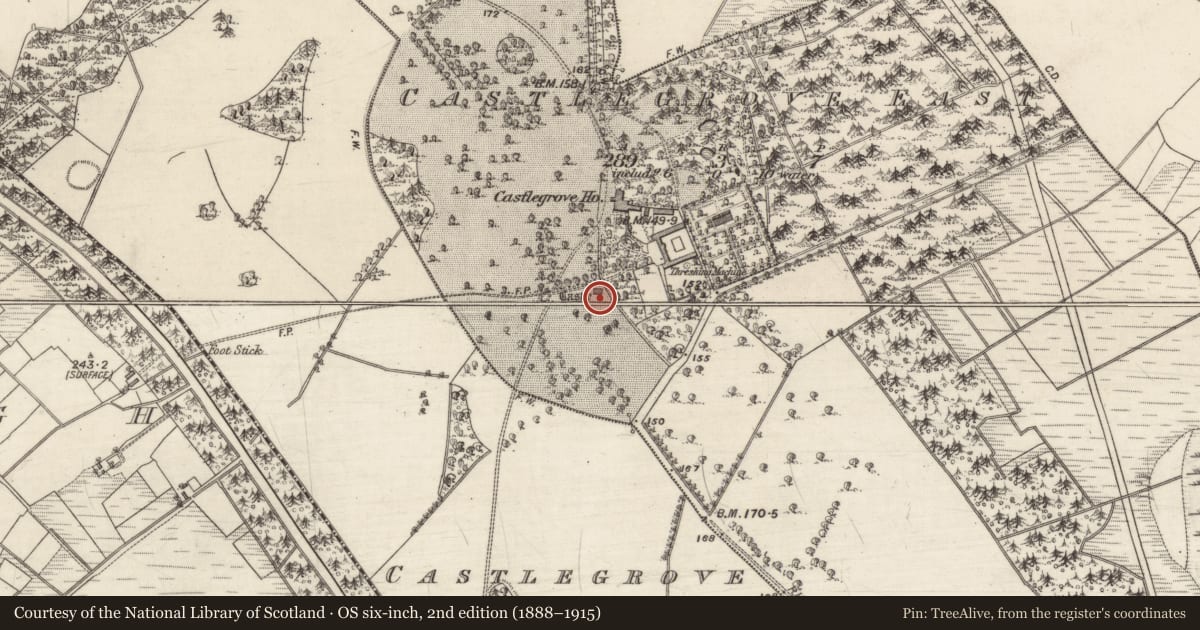 Ordnance Survey six-inch map, 2nd edition (1888–1915) covering the location of Castle - tower house, Castlegrove East, County Galway, with a pin at the register's coordinates