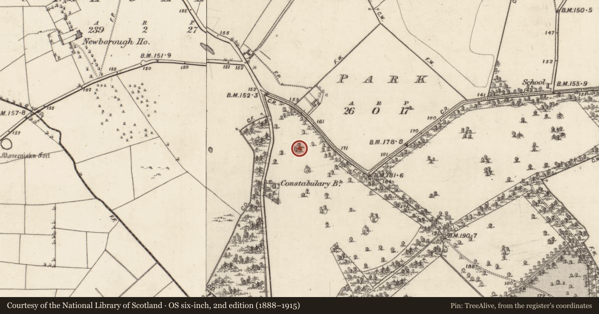 Ordnance Survey six-inch map, 2nd edition (1888–1915) covering the location of Designed landscape - tree-ring, Castlegrove West, County Galway, with a pin at the register's coordinates