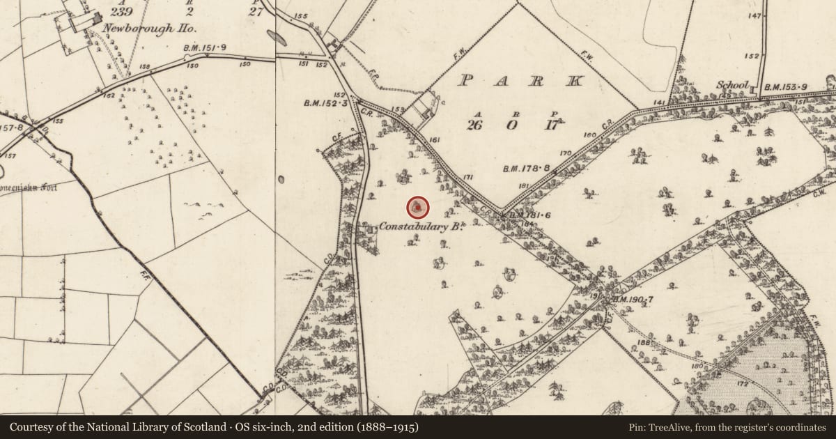 Ordnance Survey six-inch map, 2nd edition (1888–1915) covering the location of Designed landscape - tree-ring, Castlegrove West, County Galway, with a pin at the register's coordinates