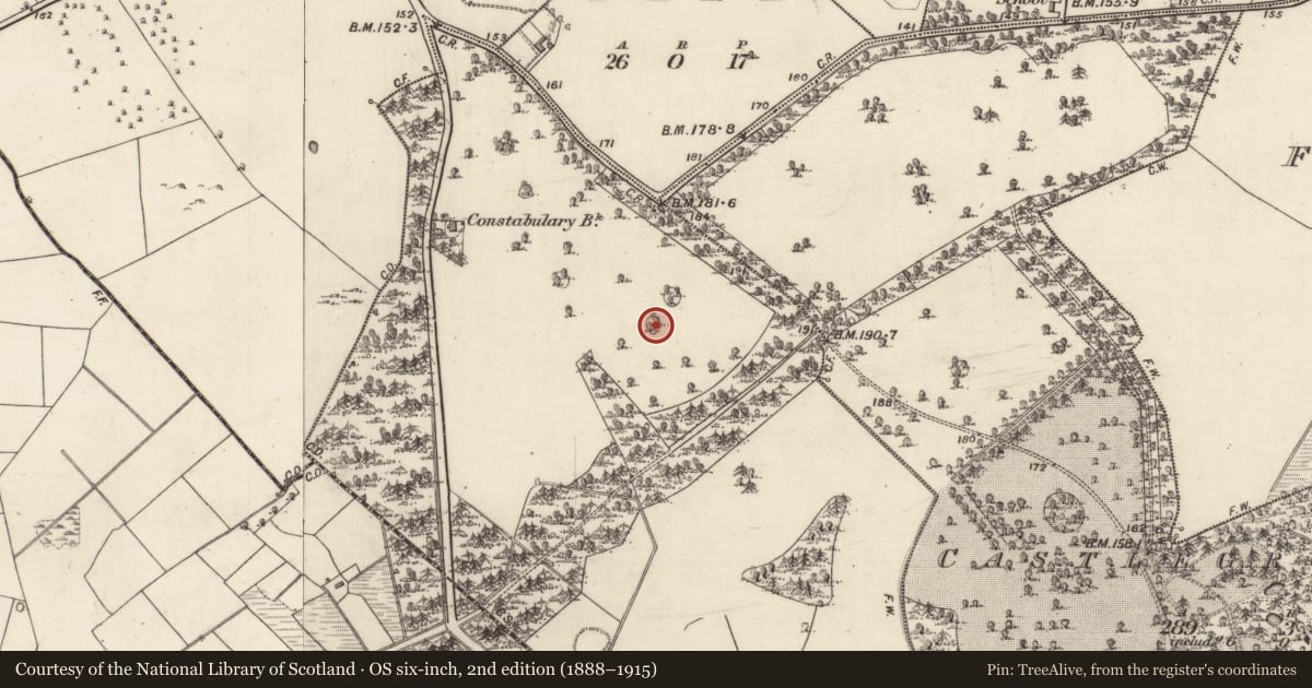 Ordnance Survey six-inch map, 2nd edition (1888–1915) covering the location of Designed landscape - tree-ring, Castlegrove West, County Galway, with a pin at the register's coordinates