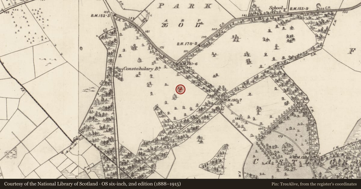 Ordnance Survey six-inch map, 2nd edition (1888–1915) covering the location of Designed landscape - tree-ring, Castlegrove West, County Galway, with a pin at the register's coordinates