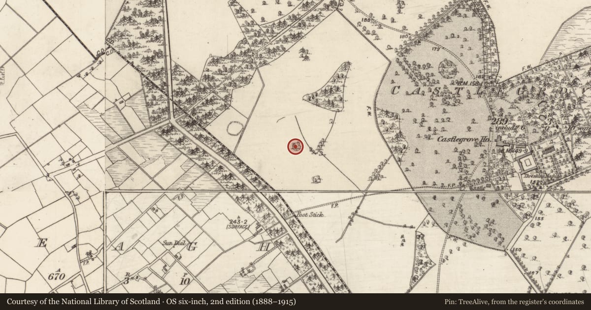 Ordnance Survey six-inch map, 2nd edition (1888–1915) covering the location of Designed landscape - tree-ring, Castlegrove West, County Galway, with a pin at the register's coordinates