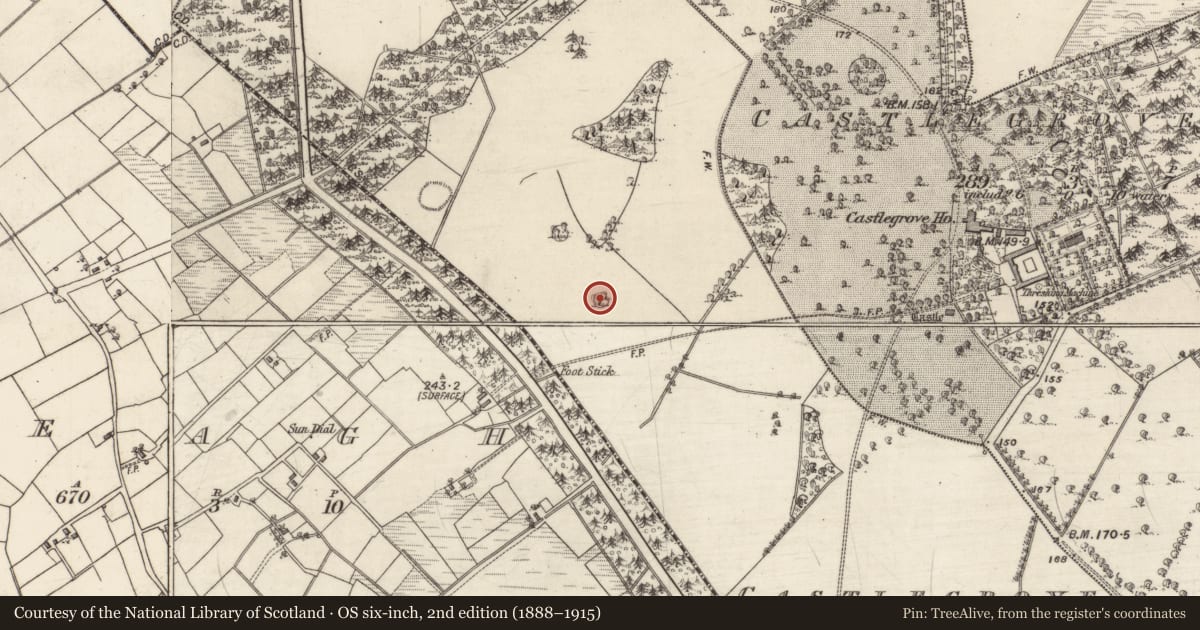 Ordnance Survey six-inch map, 2nd edition (1888–1915) covering the location of Designed landscape - tree-ring, Castlegrove West, County Galway, with a pin at the register's coordinates