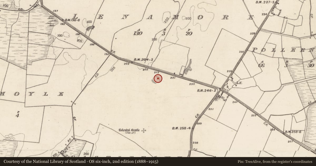 Ordnance Survey six-inch map, 2nd edition (1888–1915) covering the location of Ringfort - rath, Castletown, County Galway, with a pin at the register's coordinates