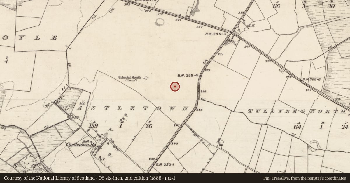 Ordnance Survey six-inch map, 2nd edition (1888–1915) covering the location of Settlement deserted - medieval, Castletown, County Galway, with a pin at the register's coordinates