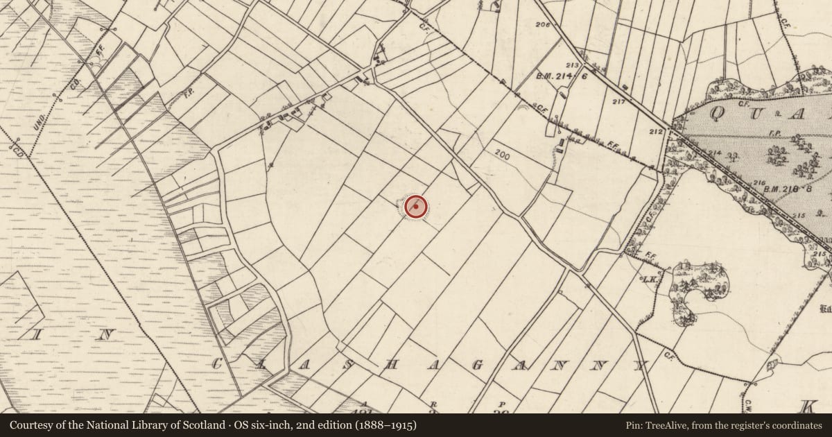 Ordnance Survey six-inch map, 2nd edition (1888–1915) covering the location of Ringfort - rath, Clashaganny, County Galway, with a pin at the register's coordinates
