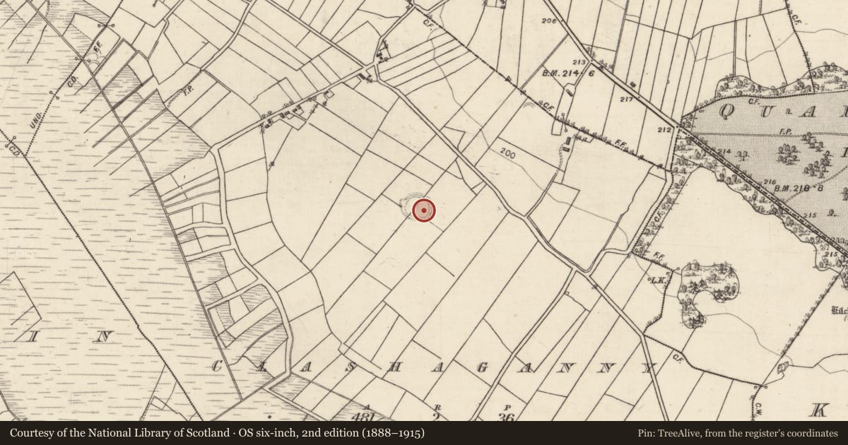 Ordnance Survey six-inch map, 2nd edition (1888–1915) covering the location of Children's burial ground, Clashaganny, County Galway, with a pin at the register's coordinates