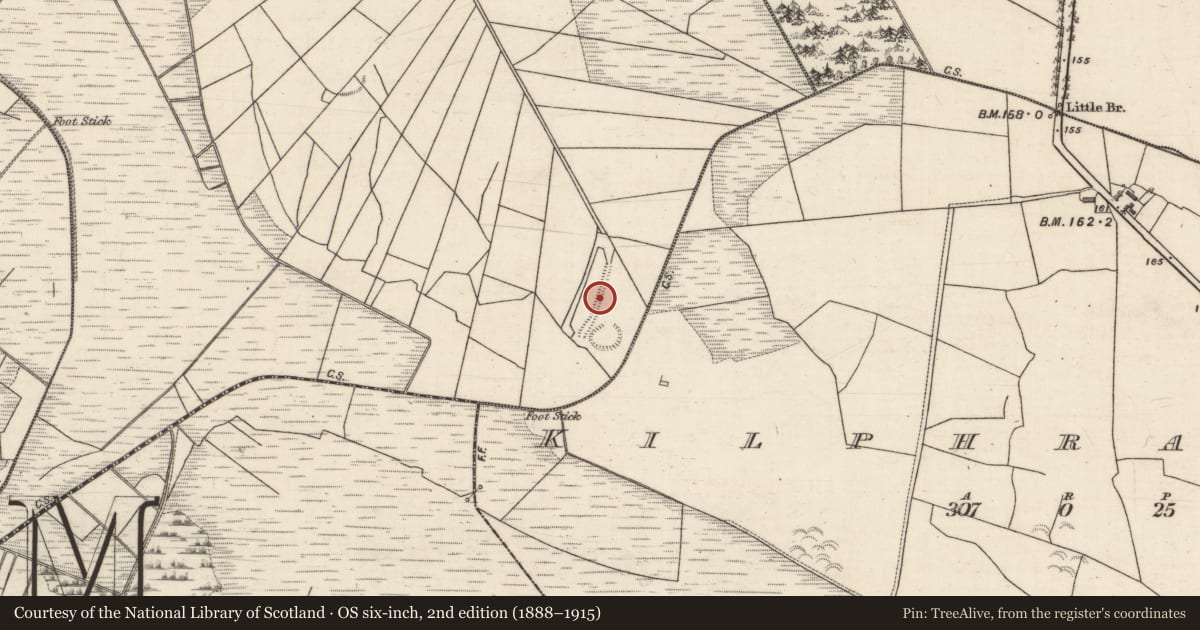 Ordnance Survey six-inch map, 2nd edition (1888–1915) covering the location of Field system, Clashaganny, Kilphrasoga, County Galway, with a pin at the register's coordinates