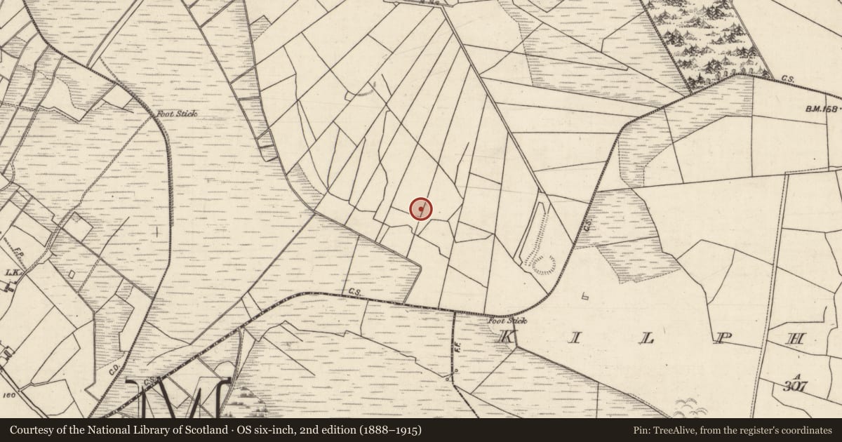 Ordnance Survey six-inch map, 2nd edition (1888–1915) covering the location of Enclosure, Clashaganny, County Galway, with a pin at the register's coordinates