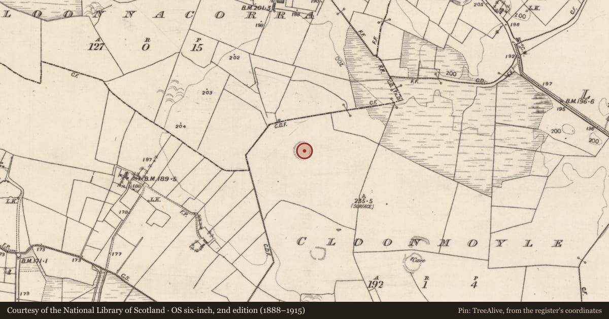 Ordnance Survey six-inch map, 2nd edition (1888–1915) covering the location of Ringfort - rath, Cloonmoyle, County Galway, with a pin at the register's coordinates