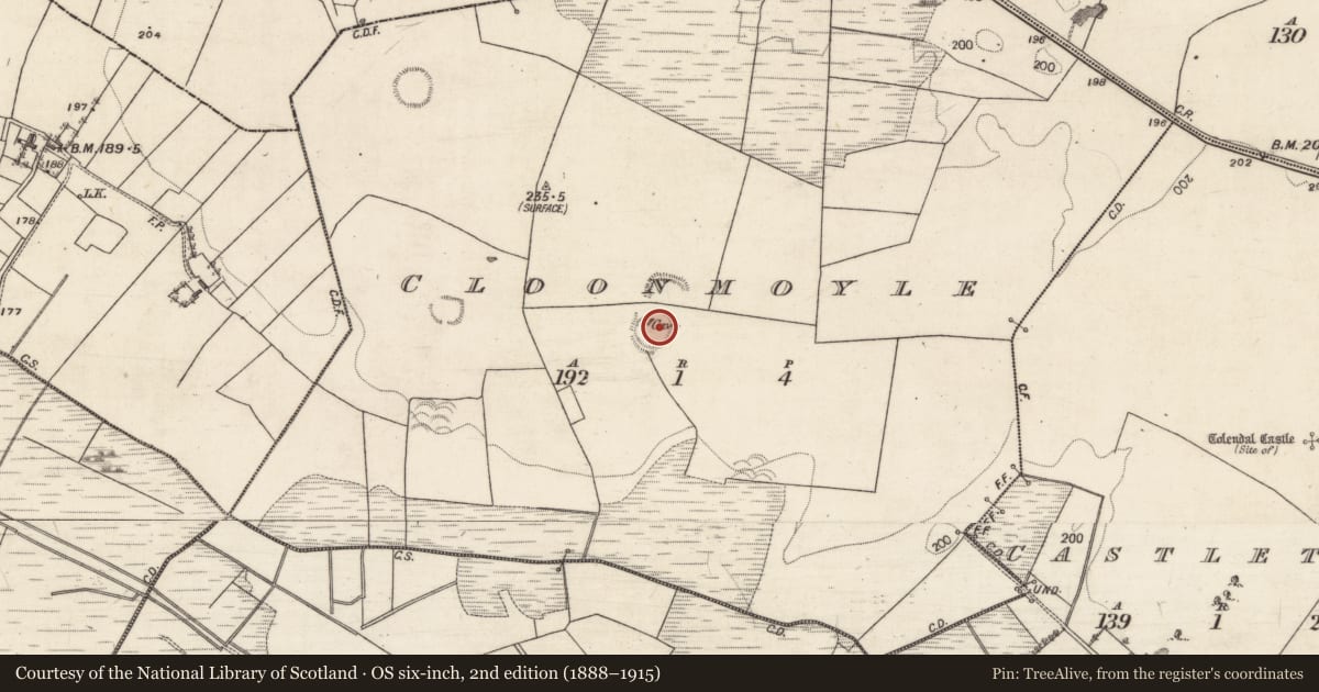 Ordnance Survey six-inch map, 2nd edition (1888–1915) covering the location of Ringfort - rath, Cloonmoyle, County Galway, with a pin at the register's coordinates