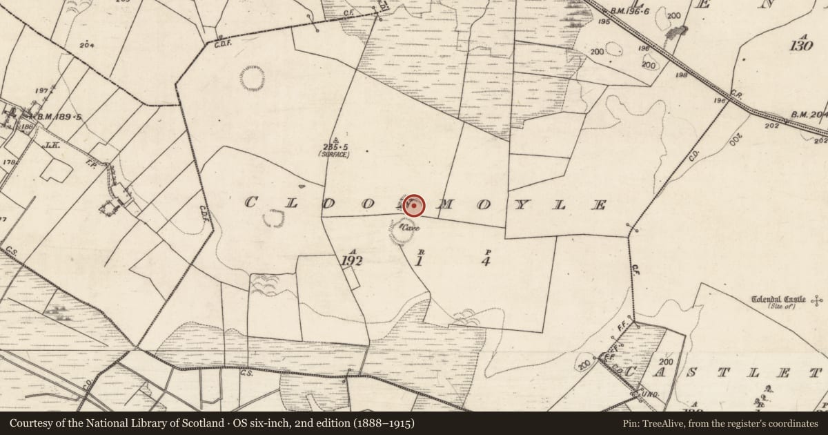 Ordnance Survey six-inch map, 2nd edition (1888–1915) covering the location of Ringfort - rath, Cloonmoyle, County Galway, with a pin at the register's coordinates