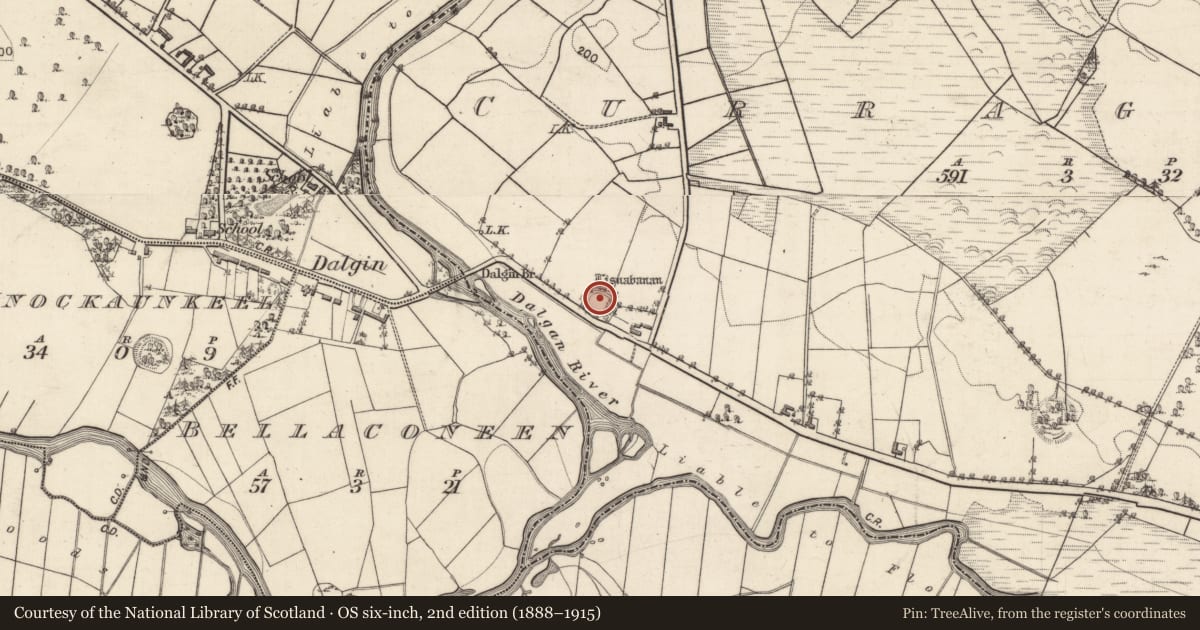 Ordnance Survey six-inch map, 2nd edition (1888–1915) covering the location of Ringfort - rath, Curraghaun, County Galway, with a pin at the register's coordinates