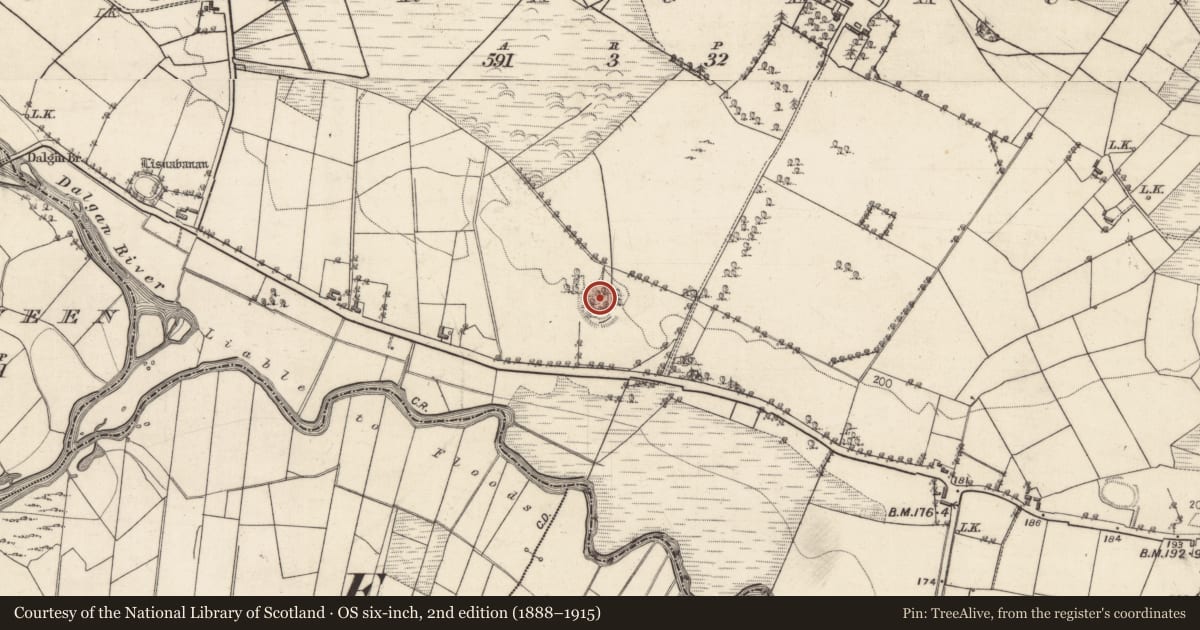 Ordnance Survey six-inch map, 2nd edition (1888–1915) covering the location of Ringfort - rath, Curraghaun, County Galway, with a pin at the register's coordinates