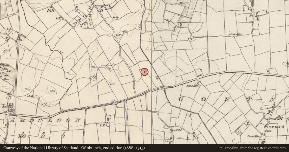 Ordnance Survey six-inch map, 2nd edition (1888–1915) covering the location of Moated site, Darrary North, County Galway, with a pin at the register's coordinates