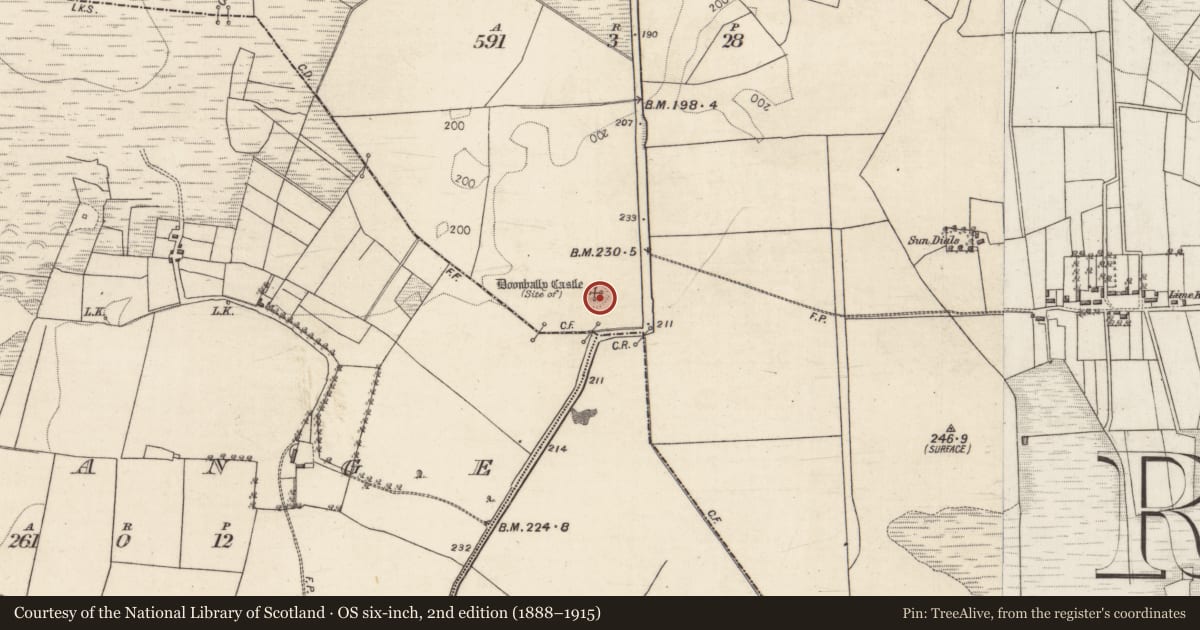 Ordnance Survey six-inch map, 2nd edition (1888–1915) covering the location of Castle - unclassified, Graigueachullaire, County Galway, with a pin at the register's coordinates