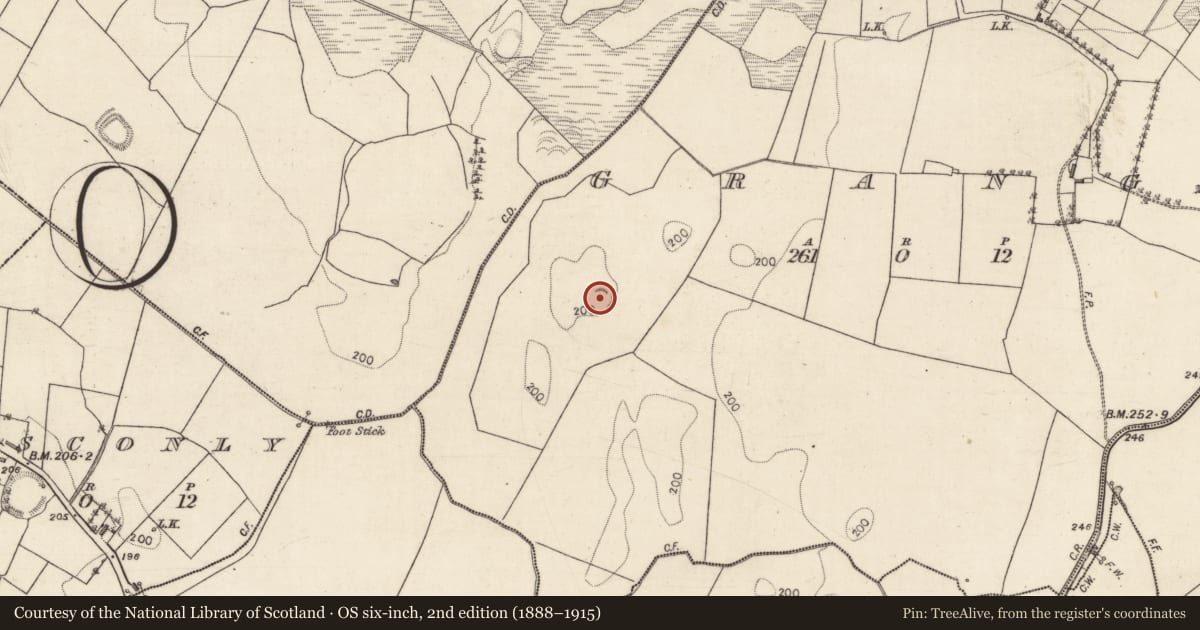 Ordnance Survey six-inch map, 2nd edition (1888–1915) covering the location of Ringfort - rath, Grange, County Galway, with a pin at the register's coordinates