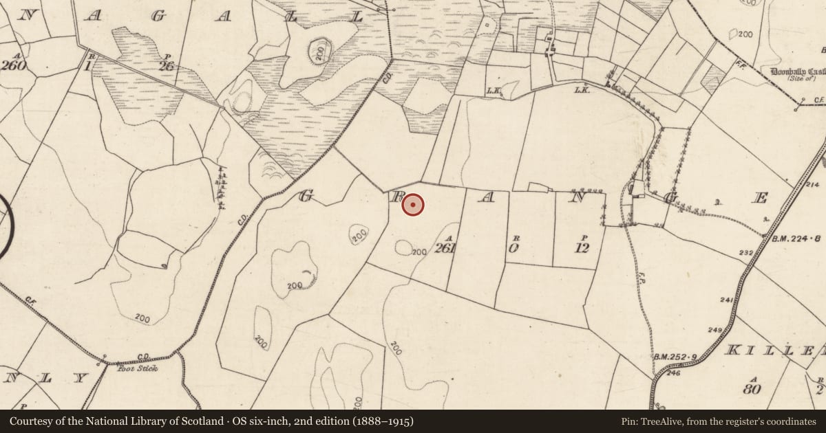 Ordnance Survey six-inch map, 2nd edition (1888–1915) covering the location of Brickworks, Grange, County Galway, with a pin at the register's coordinates