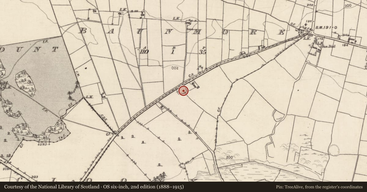 Ordnance Survey six-inch map, 2nd edition (1888–1915) covering the location of Children's burial ground, Kilcloony, County Galway, with a pin at the register's coordinates