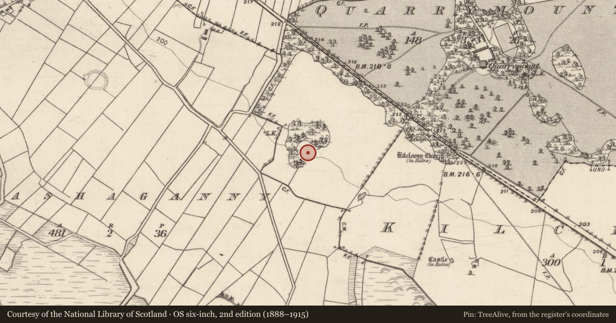 Ordnance Survey six-inch map, 2nd edition (1888–1915) covering the location of Ringfort - rath, Kilcloony, County Galway, with a pin at the register's coordinates