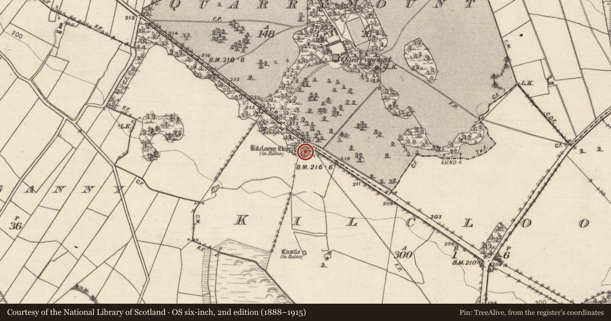 Ordnance Survey six-inch map, 2nd edition (1888–1915) covering the location of Church, Kilcloony, County Galway, with a pin at the register's coordinates
