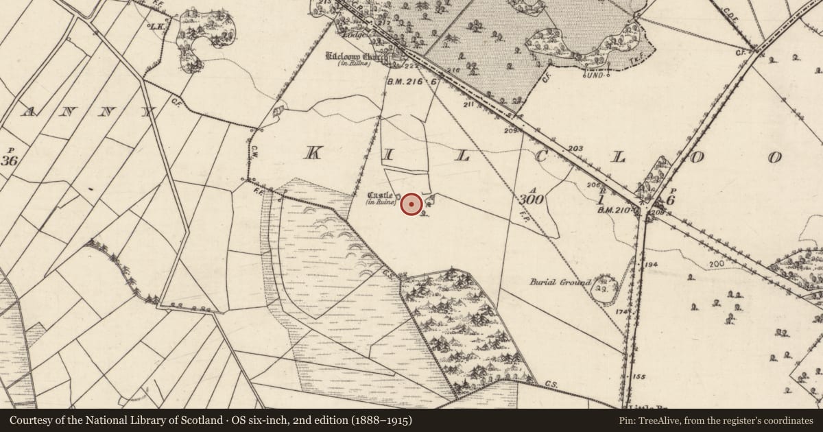 Ordnance Survey six-inch map, 2nd edition (1888–1915) covering the location of Bawn, Kilcloony, County Galway, with a pin at the register's coordinates