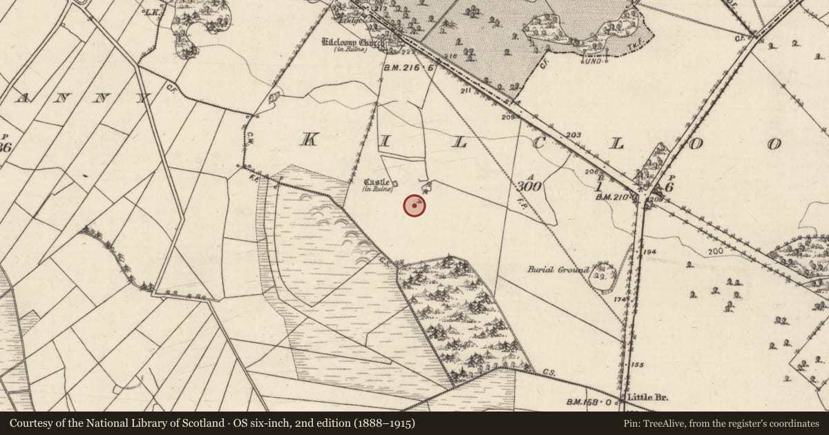 Ordnance Survey six-inch map, 2nd edition (1888–1915) covering the location of Enclosure, Kilcloony, County Galway, with a pin at the register's coordinates