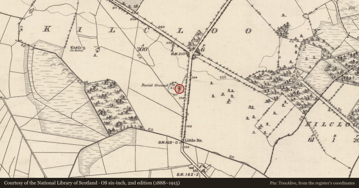Ordnance Survey six-inch map, 2nd edition (1888–1915) covering the location of Structure, Kilcloony, County Galway, with a pin at the register's coordinates