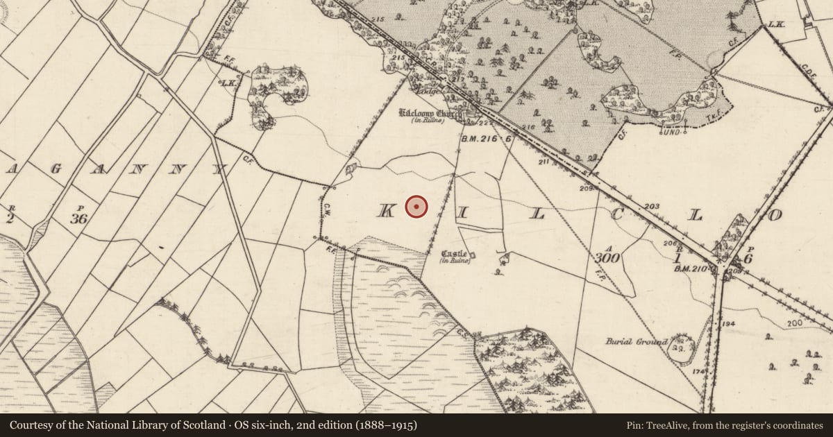 Ordnance Survey six-inch map, 2nd edition (1888–1915) covering the location of Field system, Kilcloony, County Galway, with a pin at the register's coordinates
