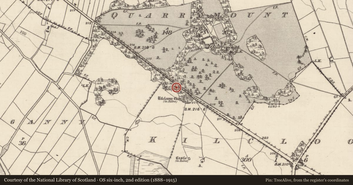 Ordnance Survey six-inch map, 2nd edition (1888–1915) covering the location of Gate lodge, Kilcloony, County Galway, with a pin at the register's coordinates