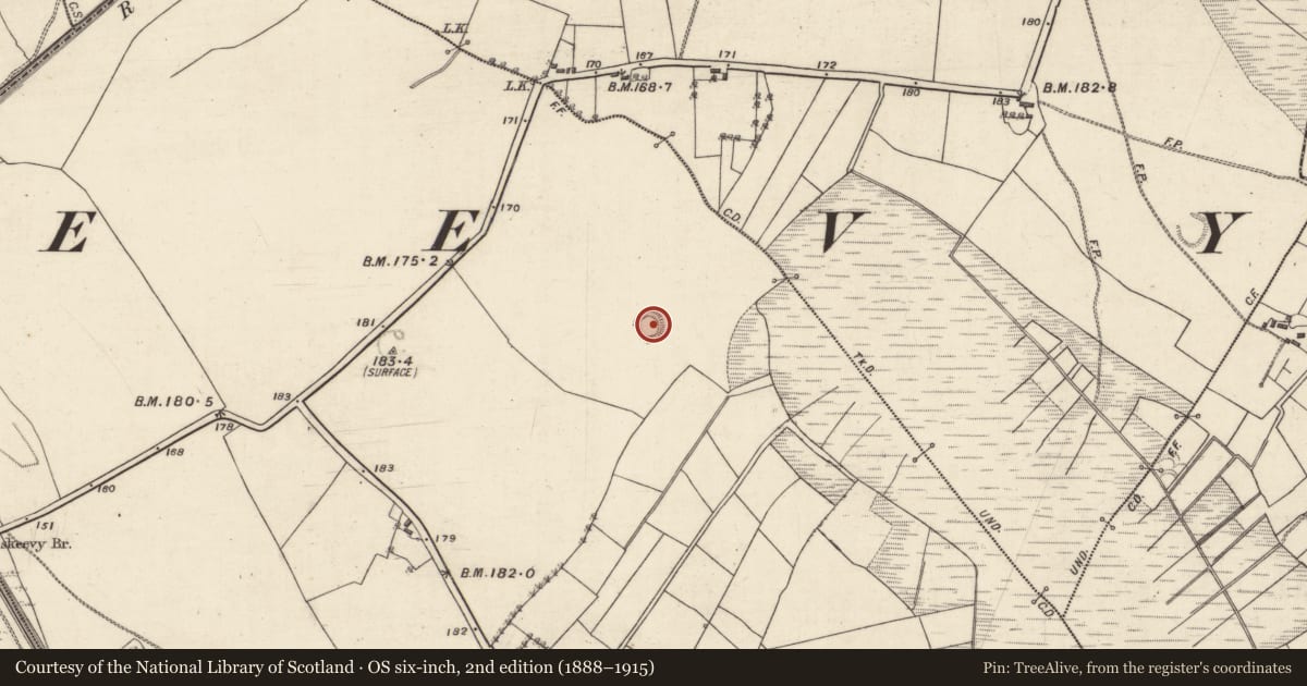 Ordnance Survey six-inch map, 2nd edition (1888–1915) covering the location of Ringfort - rath, Kilgevrin, County Galway, with a pin at the register's coordinates
