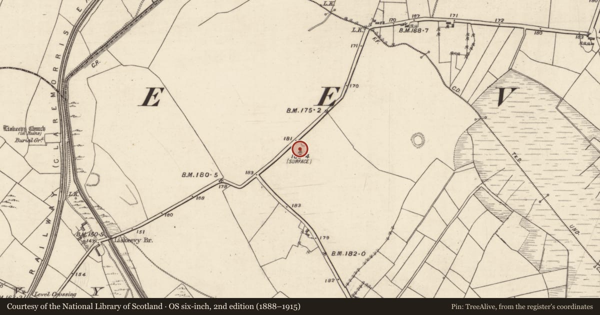 Ordnance Survey six-inch map, 2nd edition (1888–1915) covering the location of Ringfort - rath, Kilgevrin, County Galway, with a pin at the register's coordinates