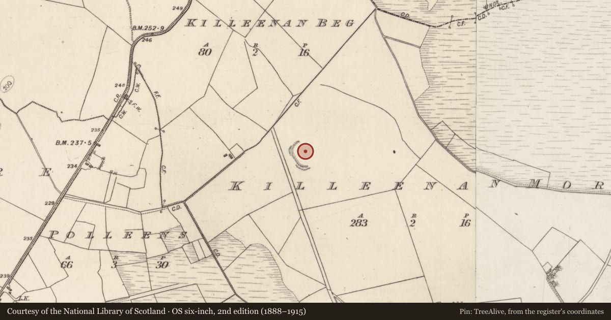 Ordnance Survey six-inch map, 2nd edition (1888–1915) covering the location of Ringfort - rath, Killeenan More, County Galway, with a pin at the register's coordinates