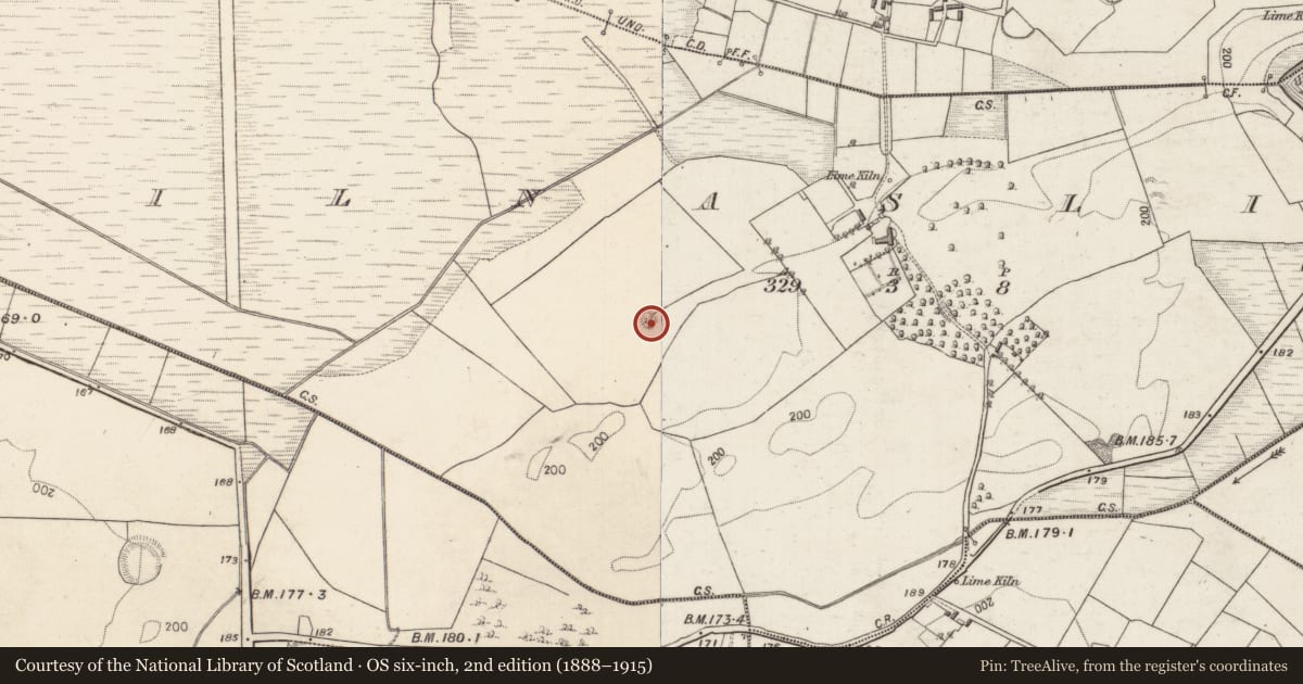 Ordnance Survey six-inch map, 2nd edition (1888–1915) covering the location of Quarry, Kilnaslieve, County Galway, with a pin at the register's coordinates