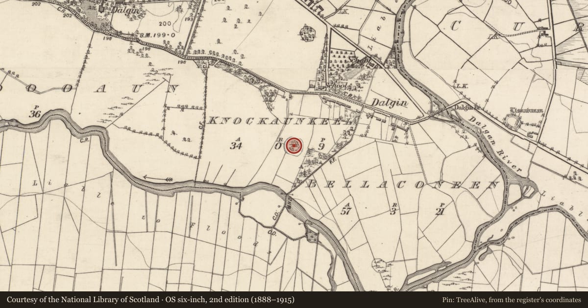 Ordnance Survey six-inch map, 2nd edition (1888–1915) covering the location of Ringfort - rath, Knockaunkeel, County Galway, with a pin at the register's coordinates