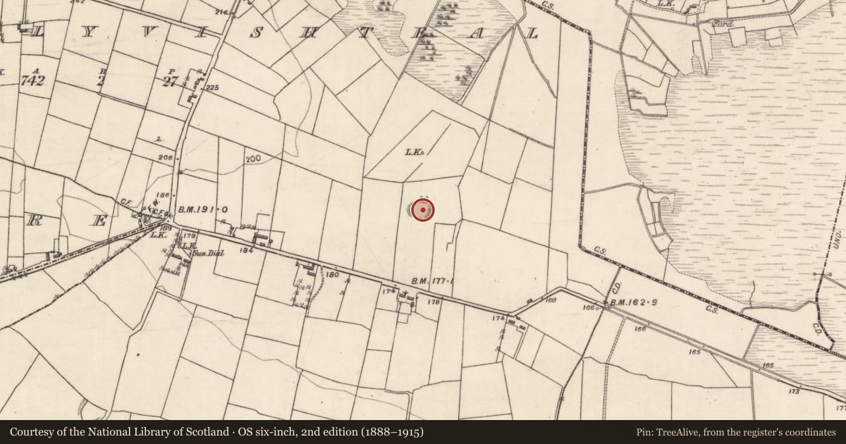 Ordnance Survey six-inch map, 2nd edition (1888–1915) covering the location of Ringfort - rath, Knockballyvishteal, County Galway, with a pin at the register's coordinates