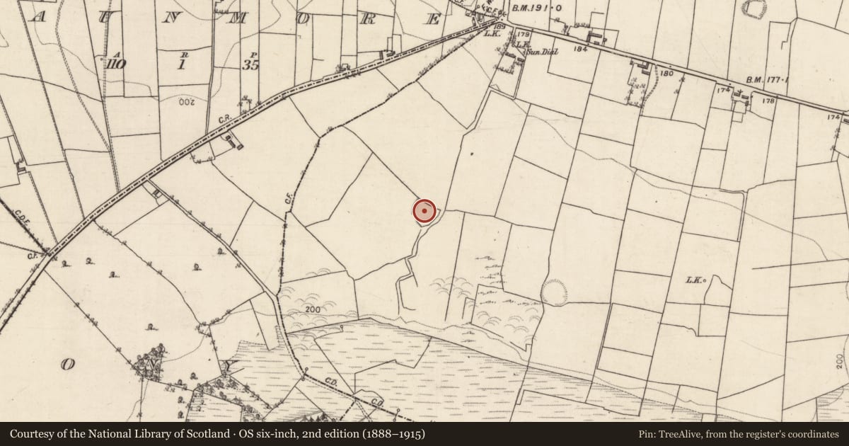 Ordnance Survey six-inch map, 2nd edition (1888–1915) covering the location of Ringfort - rath, Knockballyvishteal, County Galway, with a pin at the register's coordinates