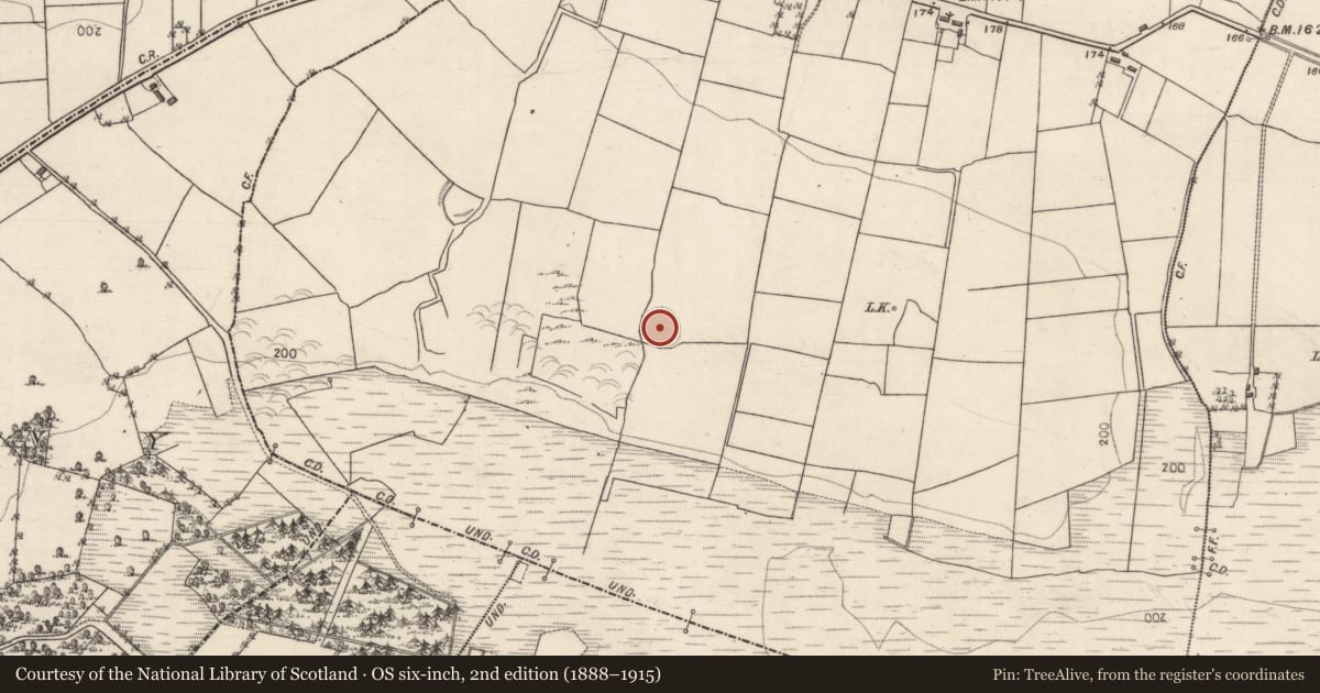 Ordnance Survey six-inch map, 2nd edition (1888–1915) covering the location of Ringfort - rath, Knockballyvishteal, County Galway, with a pin at the register's coordinates