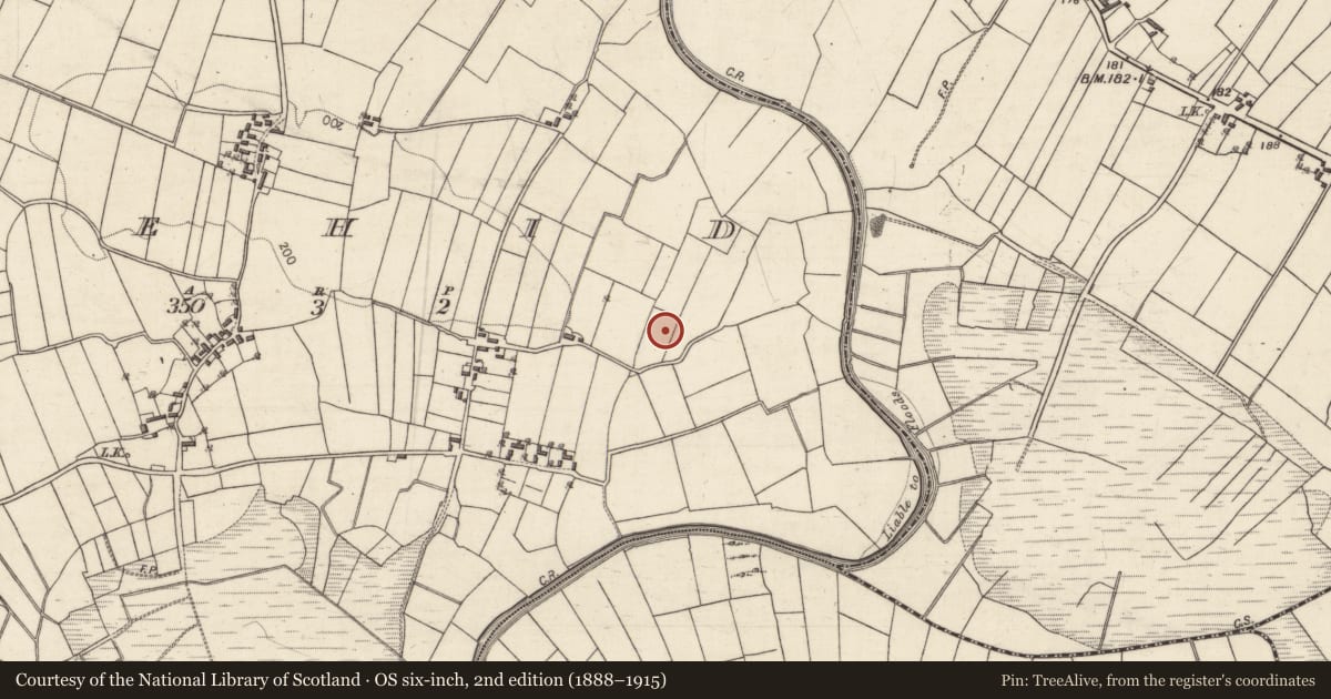 Ordnance Survey six-inch map, 2nd edition (1888–1915) covering the location of Souterrain, Lehid, County Galway, with a pin at the register's coordinates
