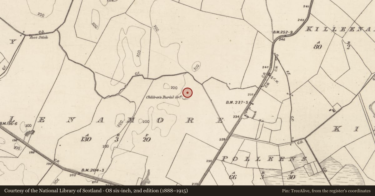 Ordnance Survey six-inch map, 2nd edition (1888–1915) covering the location of Ringfort - rath, Lenamore, County Galway, with a pin at the register's coordinates