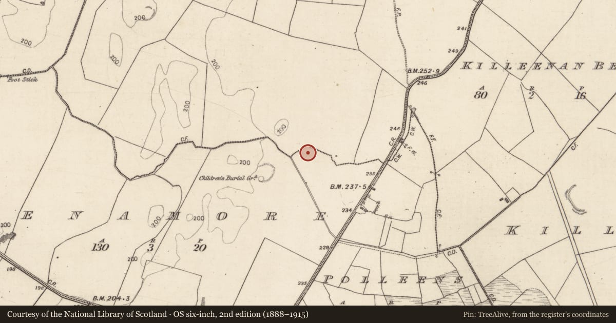 Ordnance Survey six-inch map, 2nd edition (1888–1915) covering the location of Cross, Lenamore, County Galway, with a pin at the register's coordinates