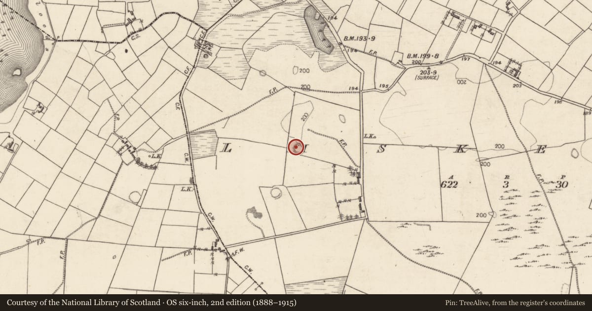 Ordnance Survey six-inch map, 2nd edition (1888–1915) covering the location of Ringfort - rath, Liskeevy, County Galway, with a pin at the register's coordinates