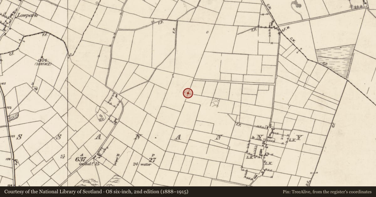 Ordnance Survey six-inch map, 2nd edition (1888–1915) covering the location of Inscribed stone (present location), Lissananny, County Galway, with a pin at the register's coordinates