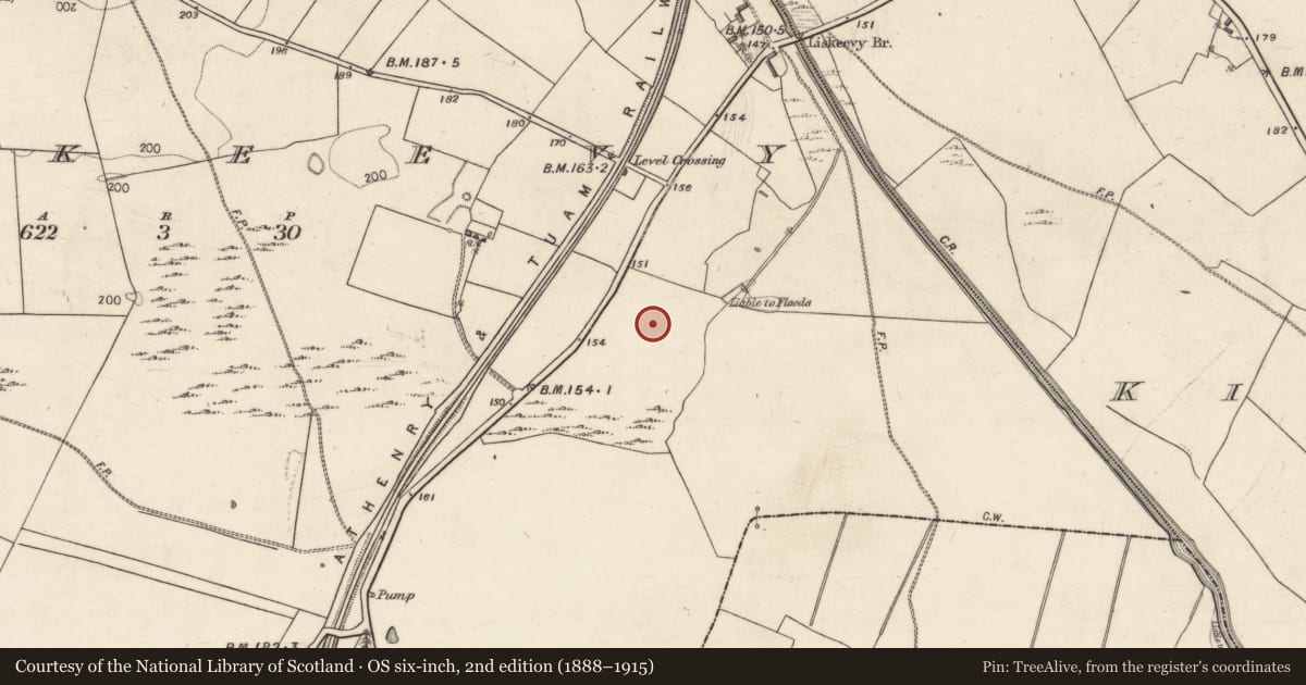Ordnance Survey six-inch map, 2nd edition (1888–1915) covering the location of Field system, Liskeevy, County Galway, with a pin at the register's coordinates